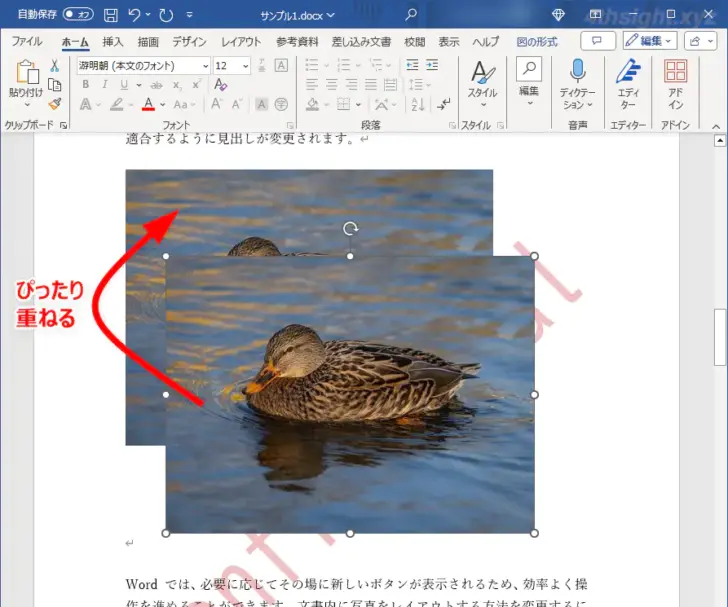 Word、Excel、PowerPointで挿入した画像の一部をぼかす方法